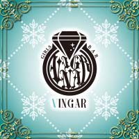 店舗写真 VINGAR・ヴィンガー - 静岡 常磐町のガールズバー