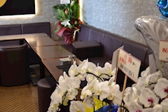 月陽・ツキヨ - 五井のパブ/スナック 店舗写真