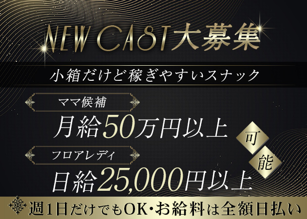 銀座・新橋パブ/スナック・Boireの求人