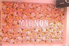 Cafe＆Bar Mignon・ミニョン - 上野・湯島のコンカフェ 店舗写真