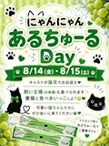 🐈にゃんにゃんあるちゅーるDay🐈⬛