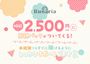 ピックアップニュース キャスト大募集中🎈✨