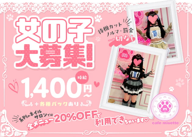 新宿コンカフェ・cafe miuetteの求人