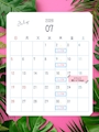 ピックアップニュース 7月calendar🌼