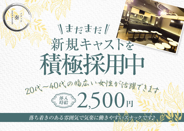 神田パブ/スナック・スナック 奏の求人