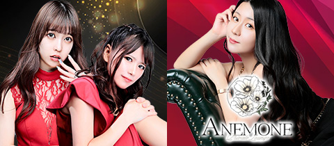 ANEMONE・アネモネ - 国分町のラウンジ