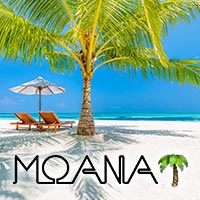 MOANA の公式サイト画像