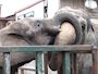 ピックアップニュース 💛完全明朗会計宣言💛👛🐘