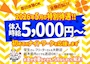 ピックアップニュース 新規メンバー大募集！