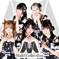 店舗写真 MaidCollection・メイドコレクション - ミナミのコンカフェ