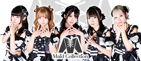 MaidCollection・メイドコレクション - ミナミのコンカフェ