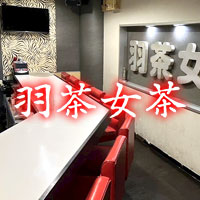 羽茶女茶