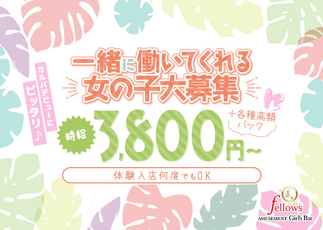 AMUSEMENT Girl's Bar Fellows 職種：カウンターレディ