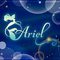 近くの店舗 Ariel