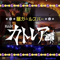 カトレア - 歌舞伎町の昼ガールズバー