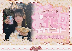 🌸お花見イベント🌸
