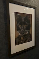 Gothic Bar Melt・ゴシックバー メルト - 沼津市のコンカフェ 店舗写真