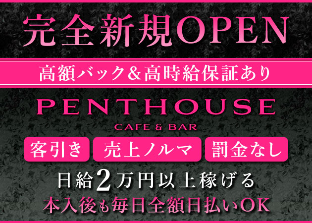 Cafe & Bar PENTHOUSE 職種：カウンターレディ
◇完全カウンター越しで、お客様と楽しくお話するだけ♪