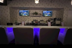 Girls Bar kaera・カエラ - 淵野辺のガールズバー 店舗写真