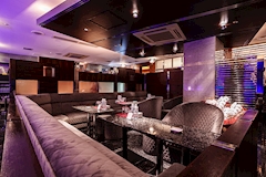 CLUB 柊・ヒイラギ - すすきのクラブ/ラウンジ 店舗写真