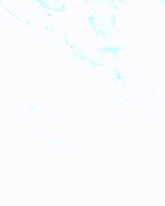 ピックアップニュース 【新店】スタッフ大募集【緊急】