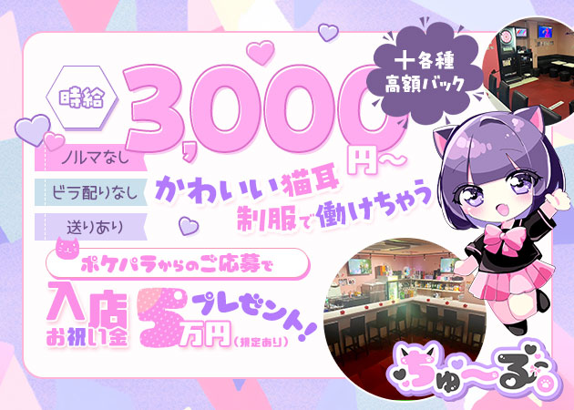 南浦和ガールズバー・ちゅーる。の求人