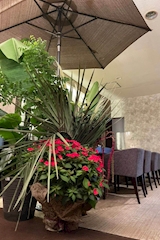 REBECCA・レベッカ - 周南のラウンジ/クラブ 店舗写真