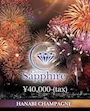 ピックアップニュース 🌻8月のイベント情報✨