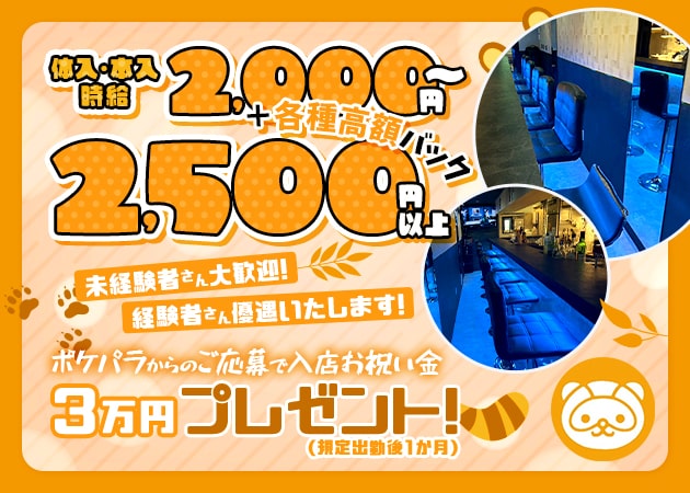 王子ガールズバー・Bar たぬきの求人