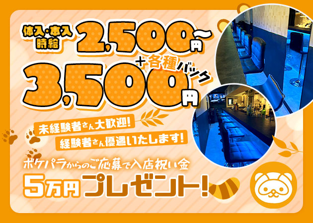 王子ガールズバー・Bar たぬきの求人