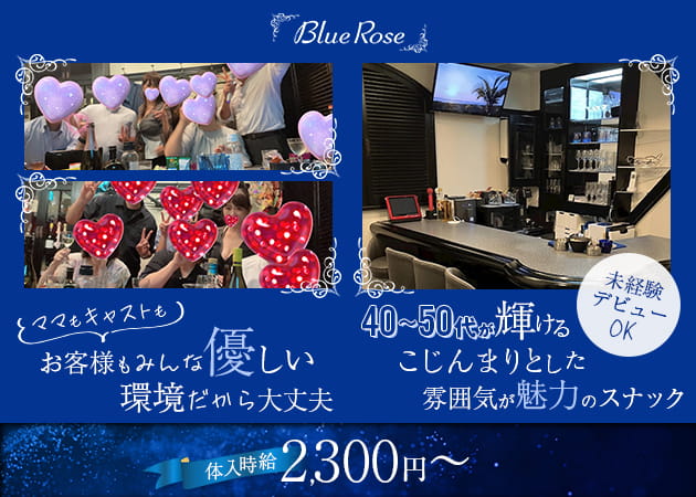 湯島・上野パブ/スナック・Blue Roseの求人