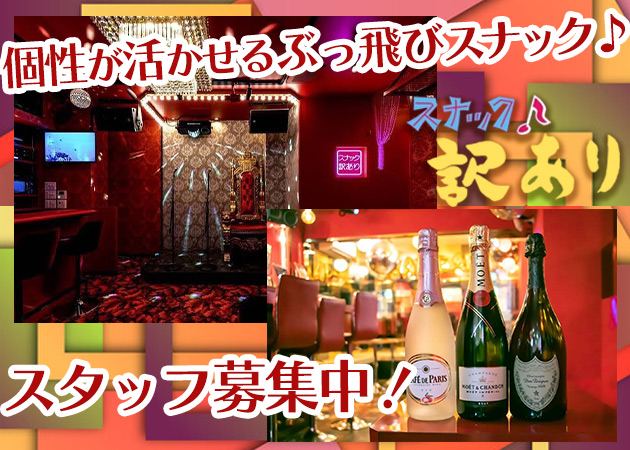 恵比寿パブ/スナック・スナック 訳ありの求人