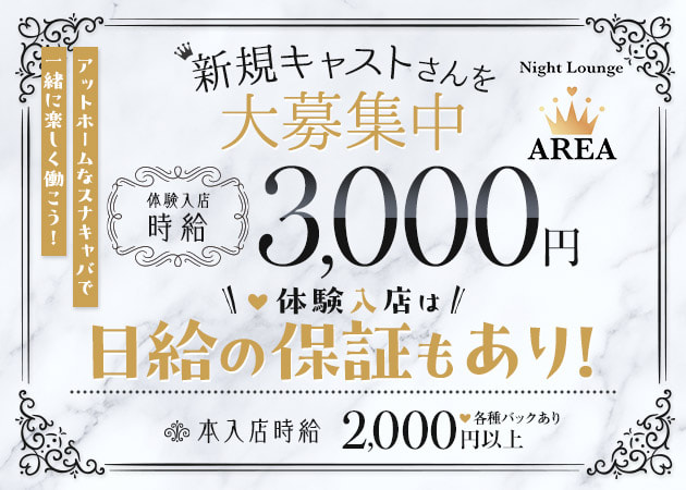 古河・東口パブ/スナック・Night Lounge AREAの求人