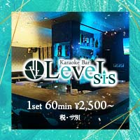 LeveL　sis