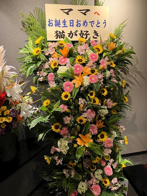ピックアップニュース まいこママバースデー🎂🎉