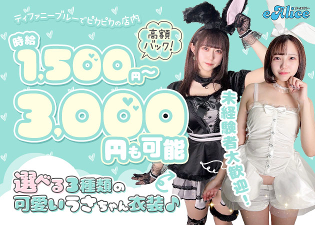 町田ガールズバー・eAliceの求人