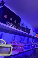 Cafe&Bar 推しが可愛い - 池袋東口のコンカフェ 店舗写真