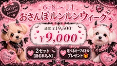 🎀🐈‍⬛おさんぽルンルンウィーク🐈‍⬛🎀