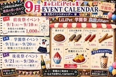 🎀 LiLiPet 9月イベント情報🎀