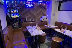 スナック＆カラオケバー CAT'S・キャッツ - 亀戸のパブ/スナック 店舗写真