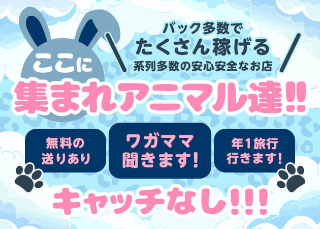 アニマルファンタジー 職種：カウンターレディ