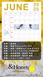 ピックアップニュース 🐝6月曜日割引カレンダー！🐝