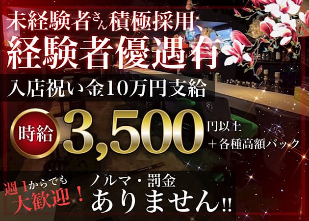 神田ガールズバー・Girls Lounge RED LILYの求人