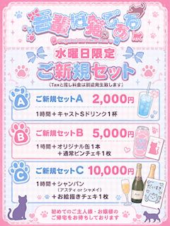 🐾✨水曜日限定ご新規セット✨🐾