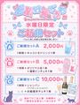 ピックアップニュース ✨🐾水曜日限定ご新規セット✨🐾