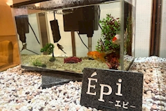 Epi・エピ - 秋田市・川反のスナック 店舗写真