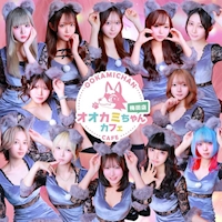 店舗写真 オオカミちゃんカフェ梅田店 - 堂山町のガールズバー