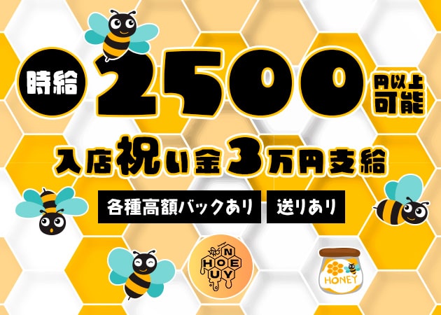 snack lounge honey-U 職種：フロアレディ