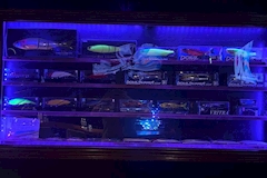 Perusepone・ペルセポネ - 新小岩のパブ/スナック 店舗写真