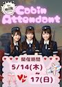 ピックアップニュース 【5/14～17】✈️キャビンアテンダントイベント🩵